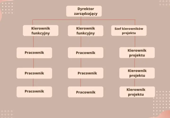 Schemat przedstawia strukturę organizacyjną firmy z dyrektorem zarządzającym na czele, pod którym znajdują się kierownicy funkcyjni i szef kierowników projektu, a poniżej pracownicy.