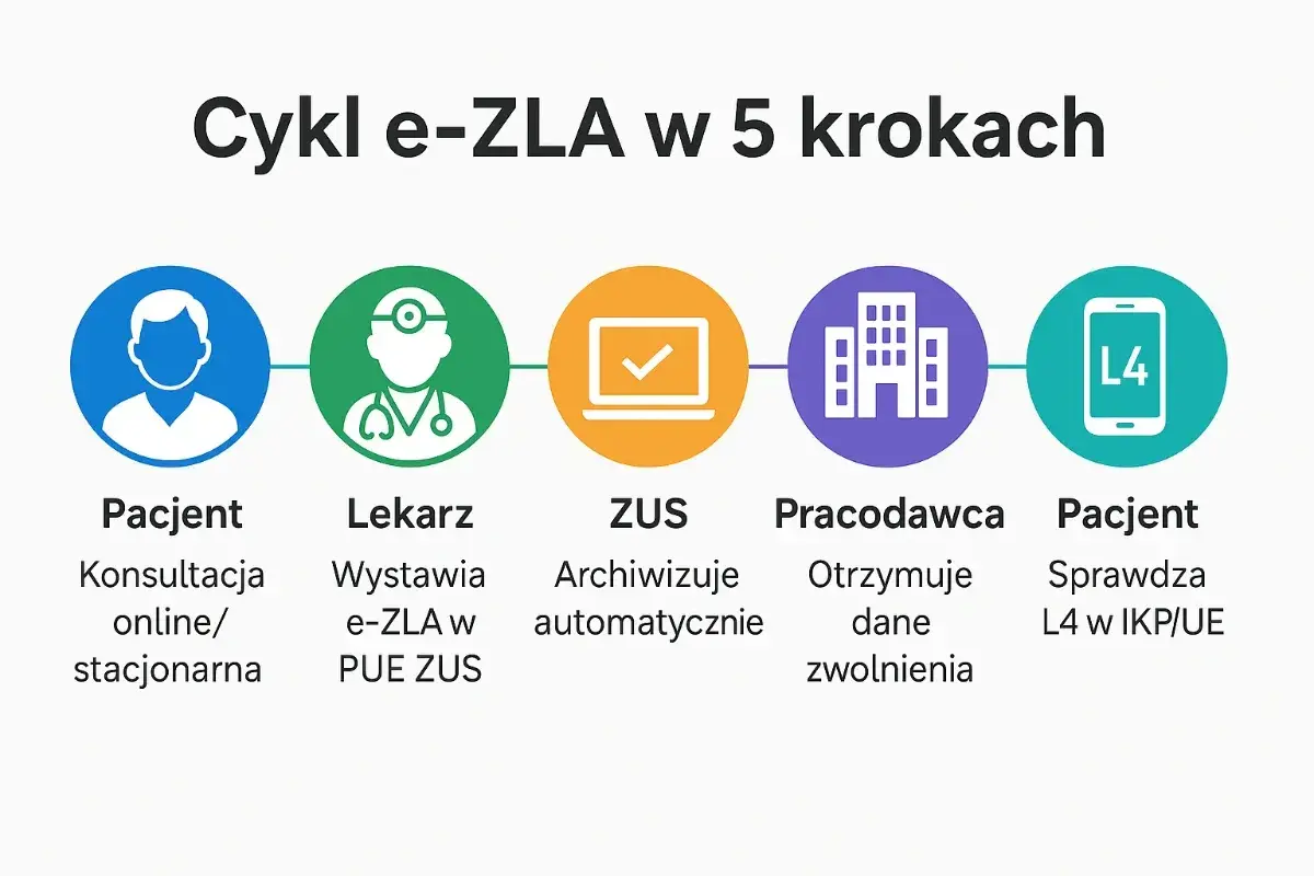Jak sprawdzić czy mam L4? Schemat pokazuje cykl e-ZLA: pacjent, lekarz, ZUS, pracodawca, a na końcu pacjent sprawdza L4 w IKP/UE.